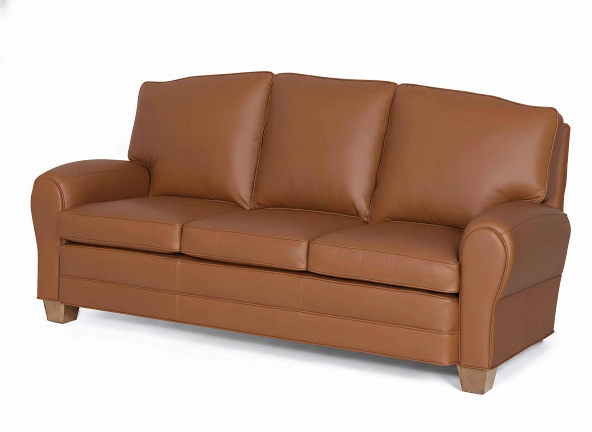 Arizona Leather Sofa - Image 4