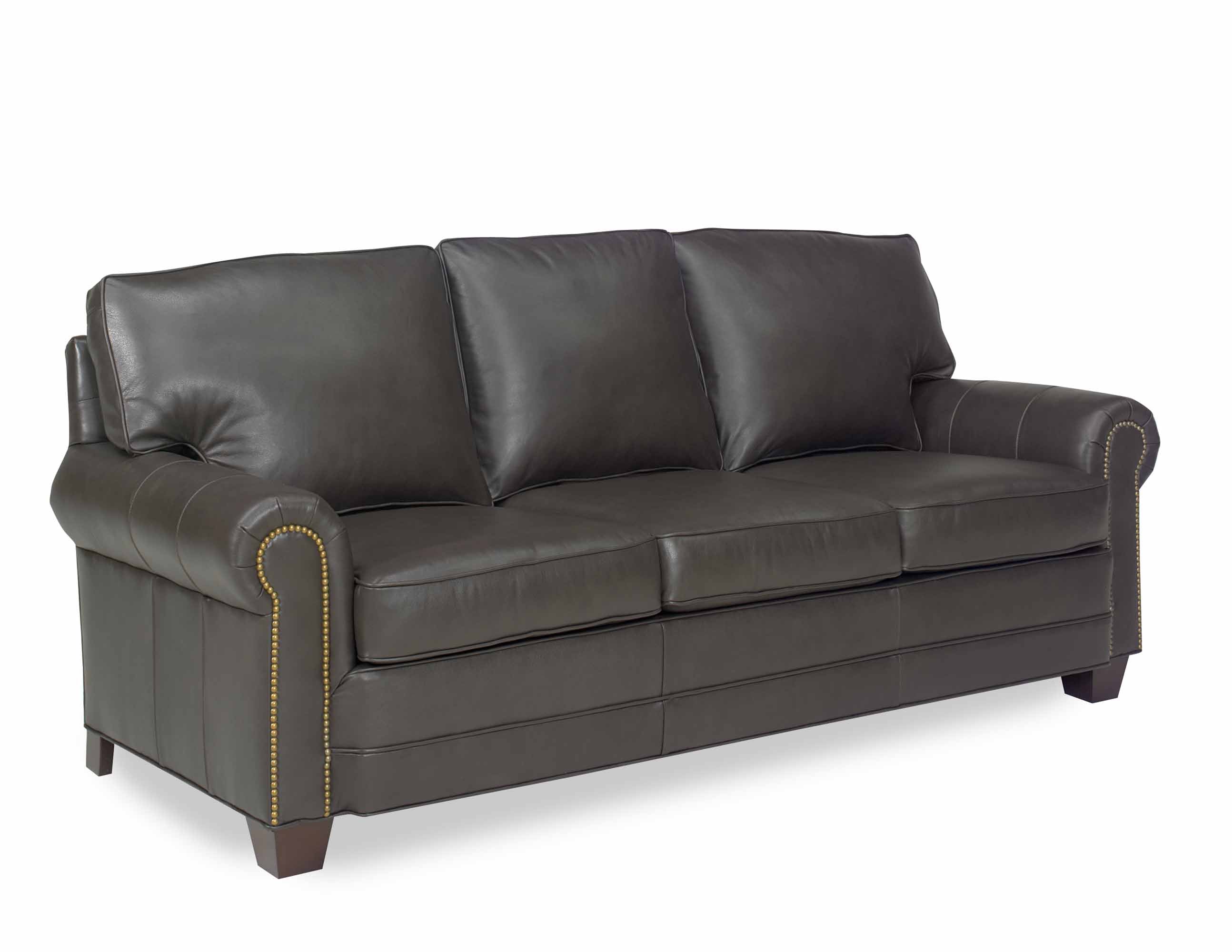 Jackson Leather Sleeper Sofa
