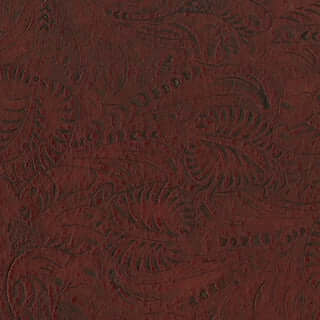 Specialty Grade 5: Natural Pattern