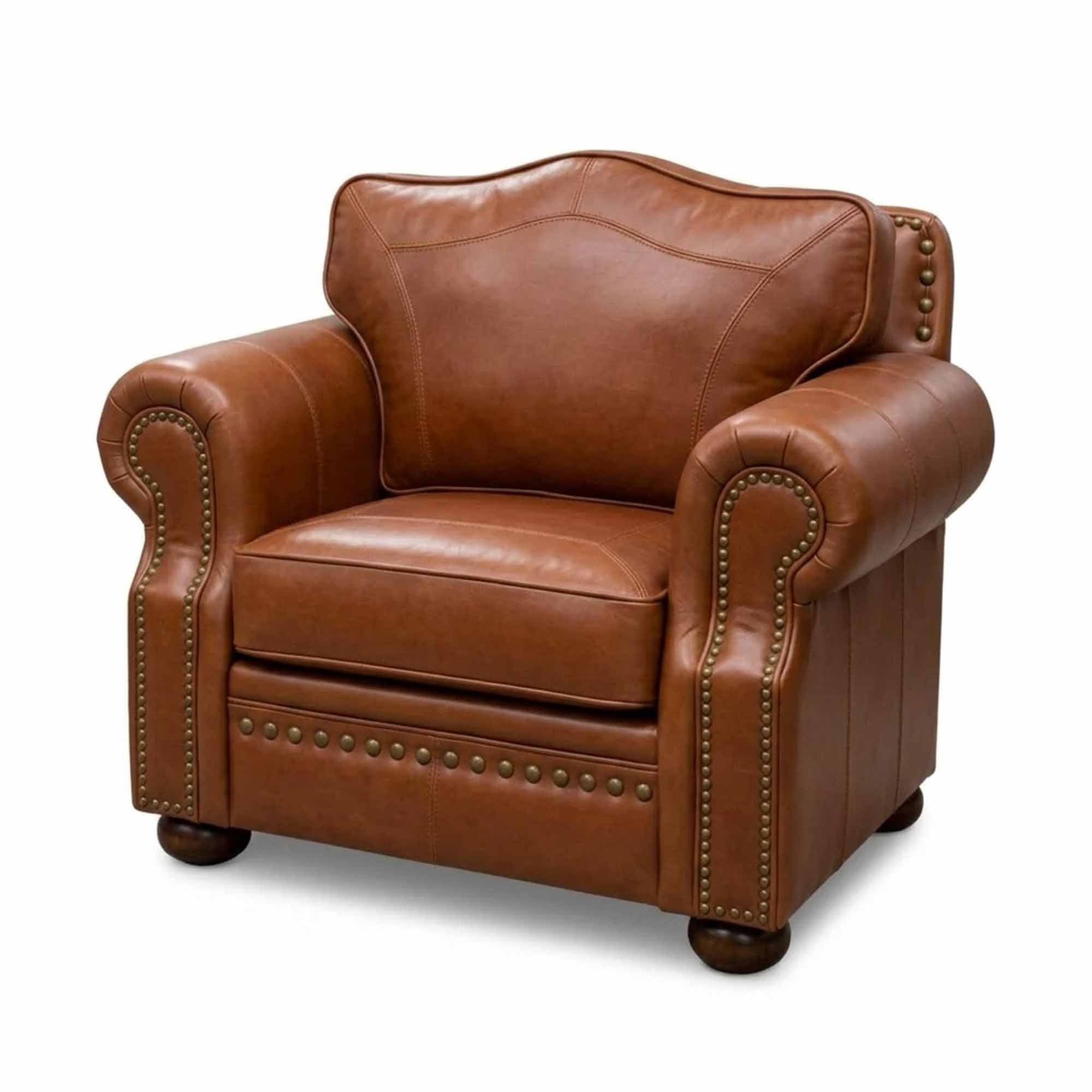 Tucson Leather Chair - Image 3