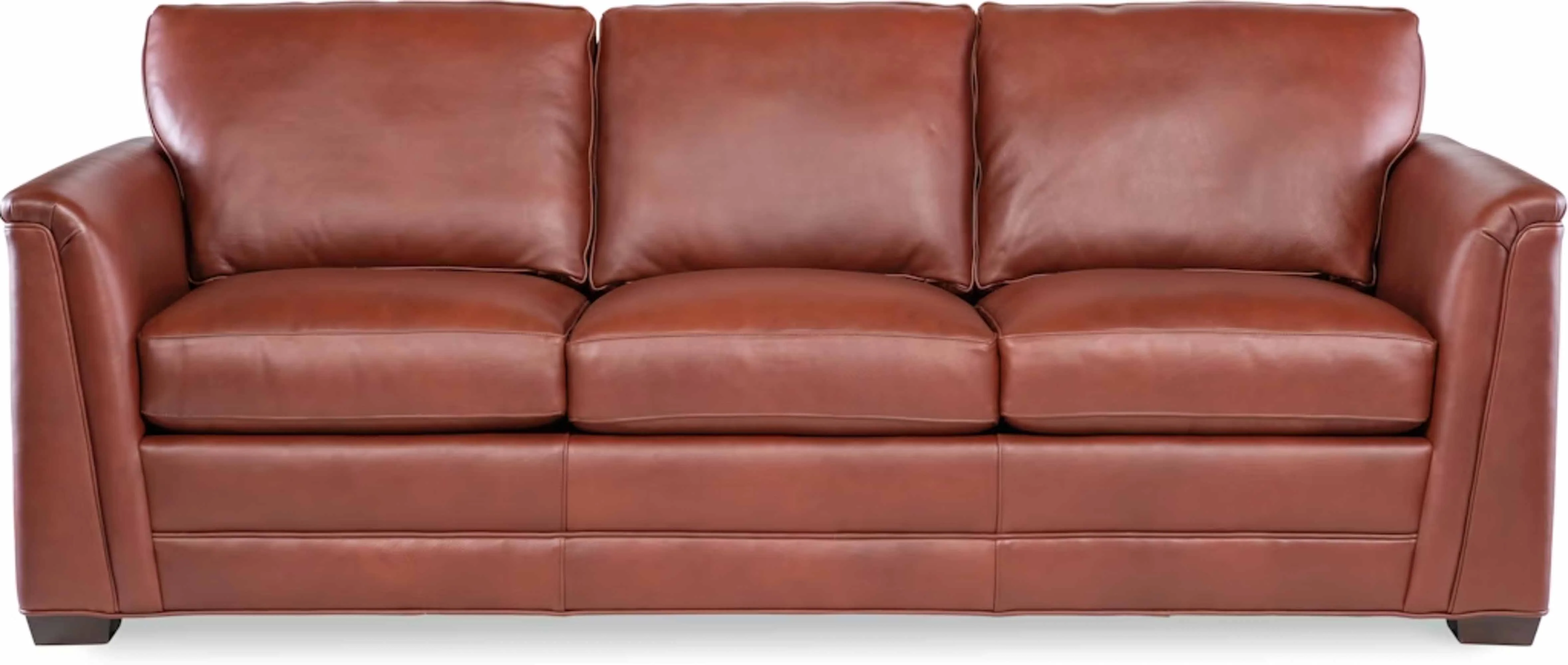 Winter Leather Sofa - Image 8